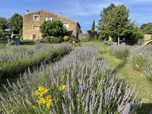Un edificio de piedra con un jardín delantero.