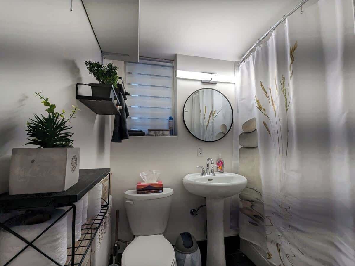 Shower, hair dryer, shampoo