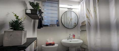 Shower, hair dryer, shampoo