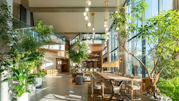 Un amplio espacio interior con una mesa y sillas de madera, rodeado de plantas en macetas y grandes ventanales que dejan entrar luz natural.