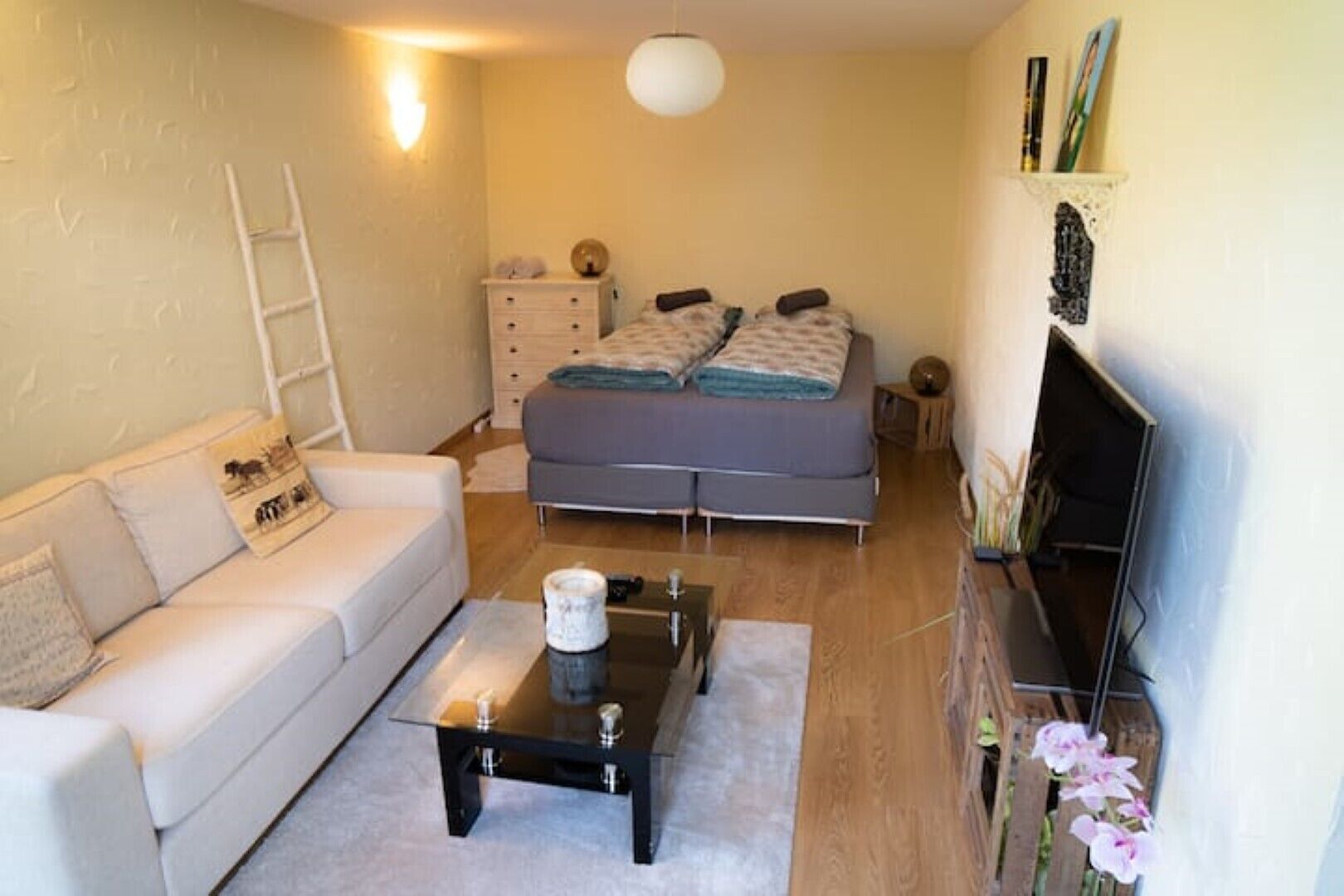 Smart TV, books, music library, video library