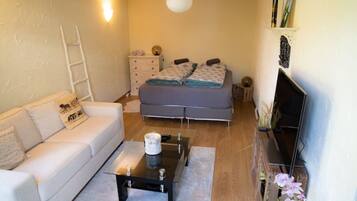 Smart TV, books, music library, video library