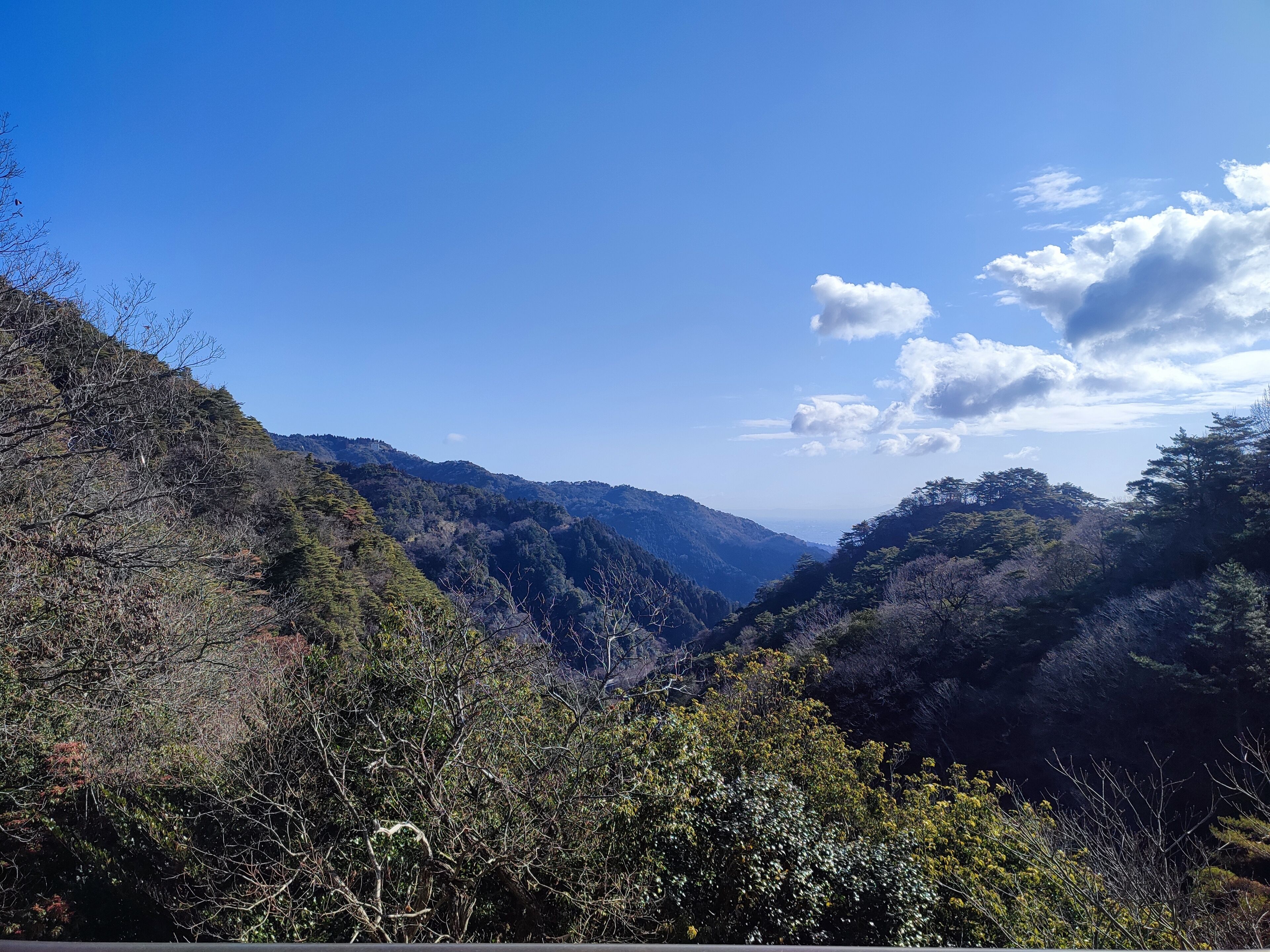 A mountainous landscape with dense forested areas and a clear sky.