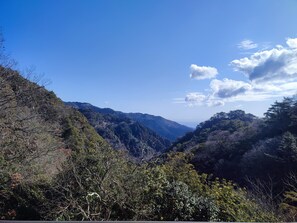 A mountainous landscape with dense forested areas and a clear sky.