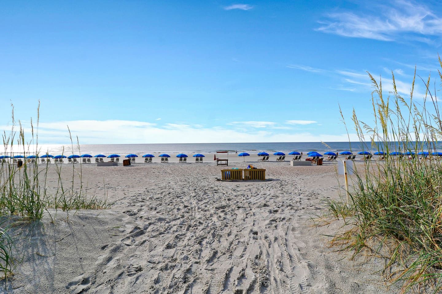 A beach with rows of blue umbrellas and lounge chairs, a wooden structure, and clear skies.