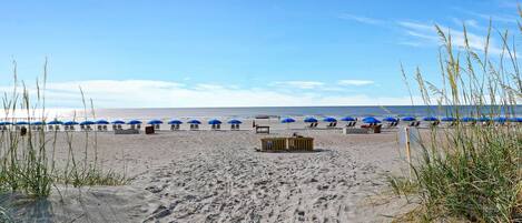 A beach with rows of blue umbrellas and lounge chairs, a wooden structure, and clear skies.