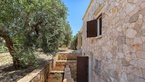A stone building with a window and a door, surrounded by olive trees and stone walls. - 1159 Perla Bianca by Perle di Puglia (Ugento)