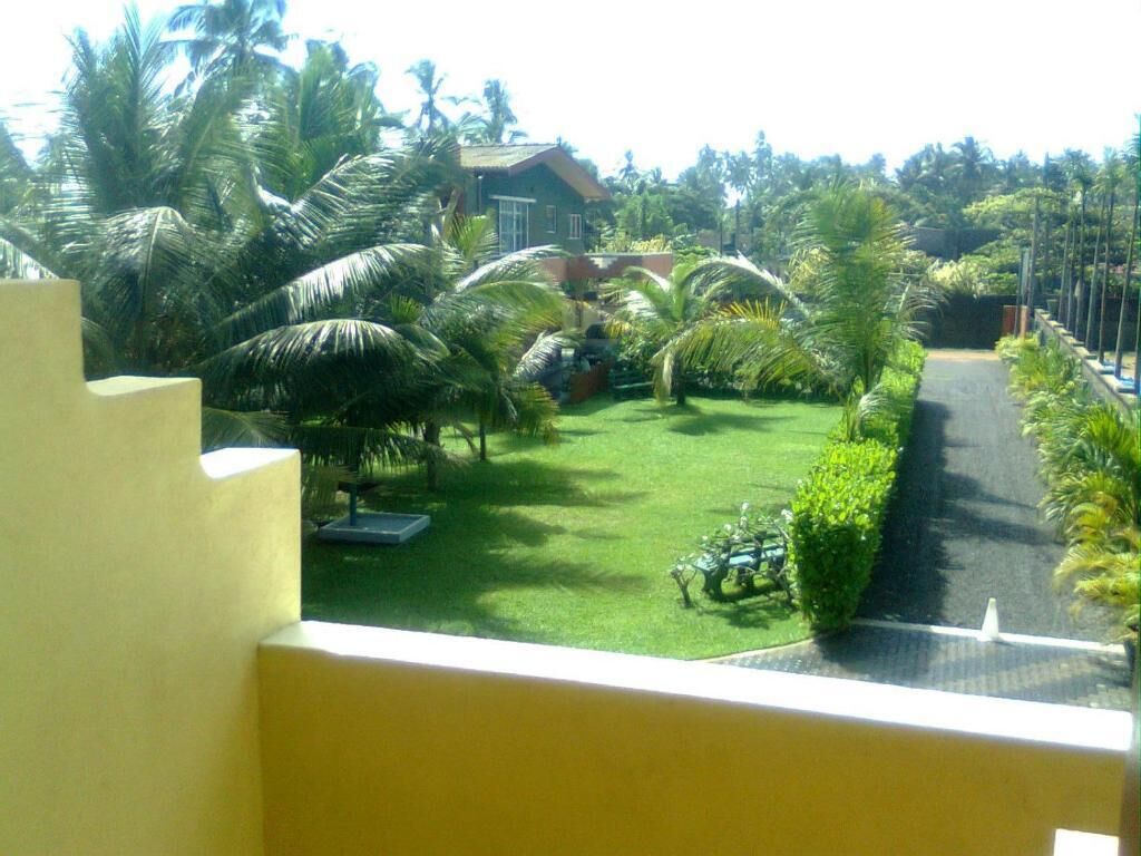 A view of a lush garden with palm trees, a lawn, and a pathway leading to a building.