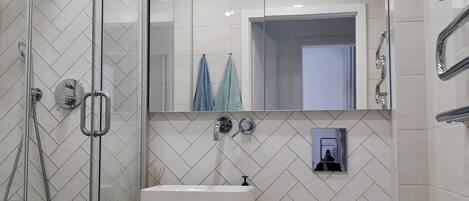 Shower, free toiletries, hair dryer