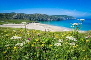 On the beach, sun loungers, beach towels