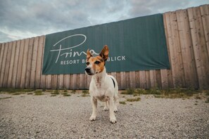 A dog standing in front of a wooden fence with a banner that reads "Prima Resort Blicck". - Prima Camping Resort - Ostsee Boddenblick (Gross Kordshagen)