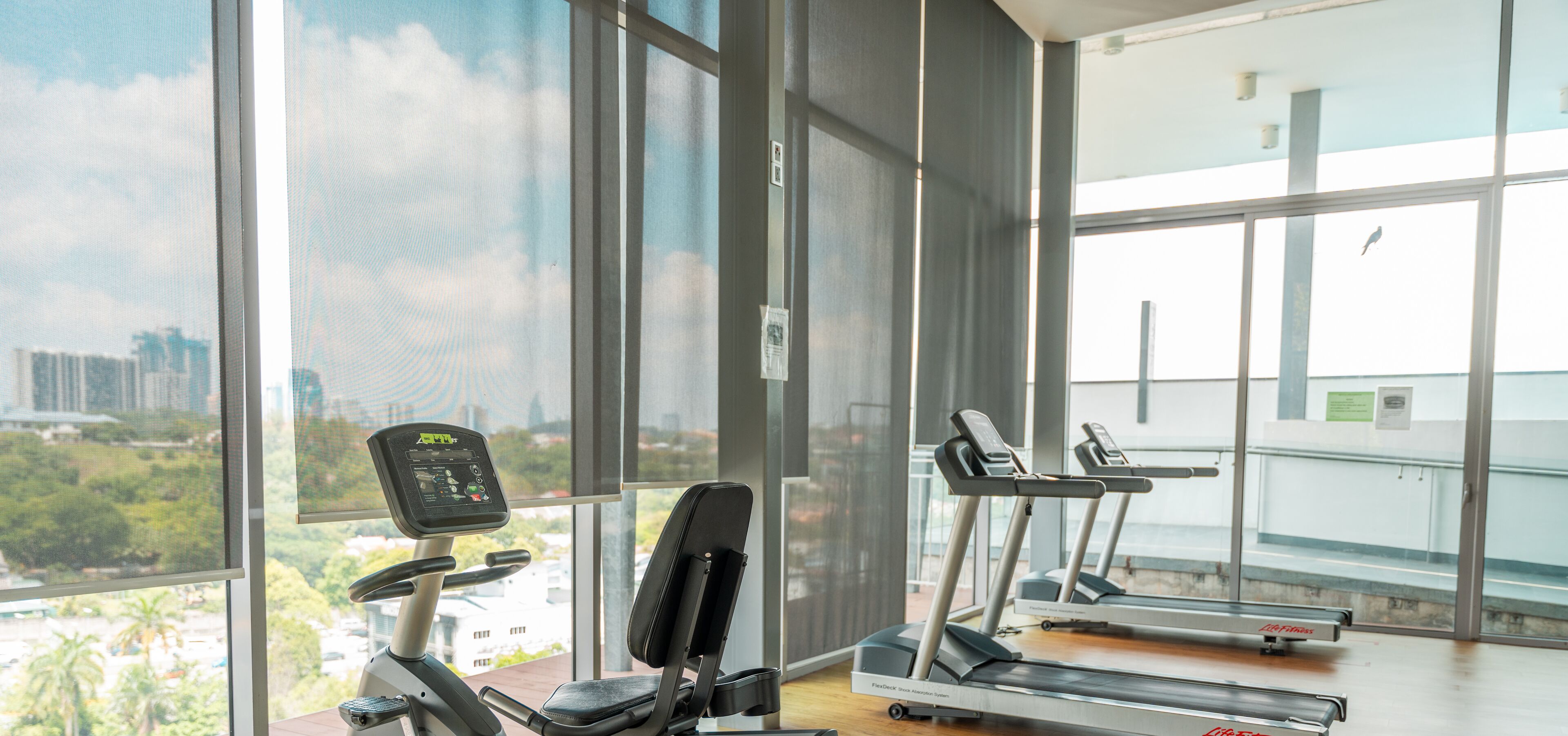 Gimnasio