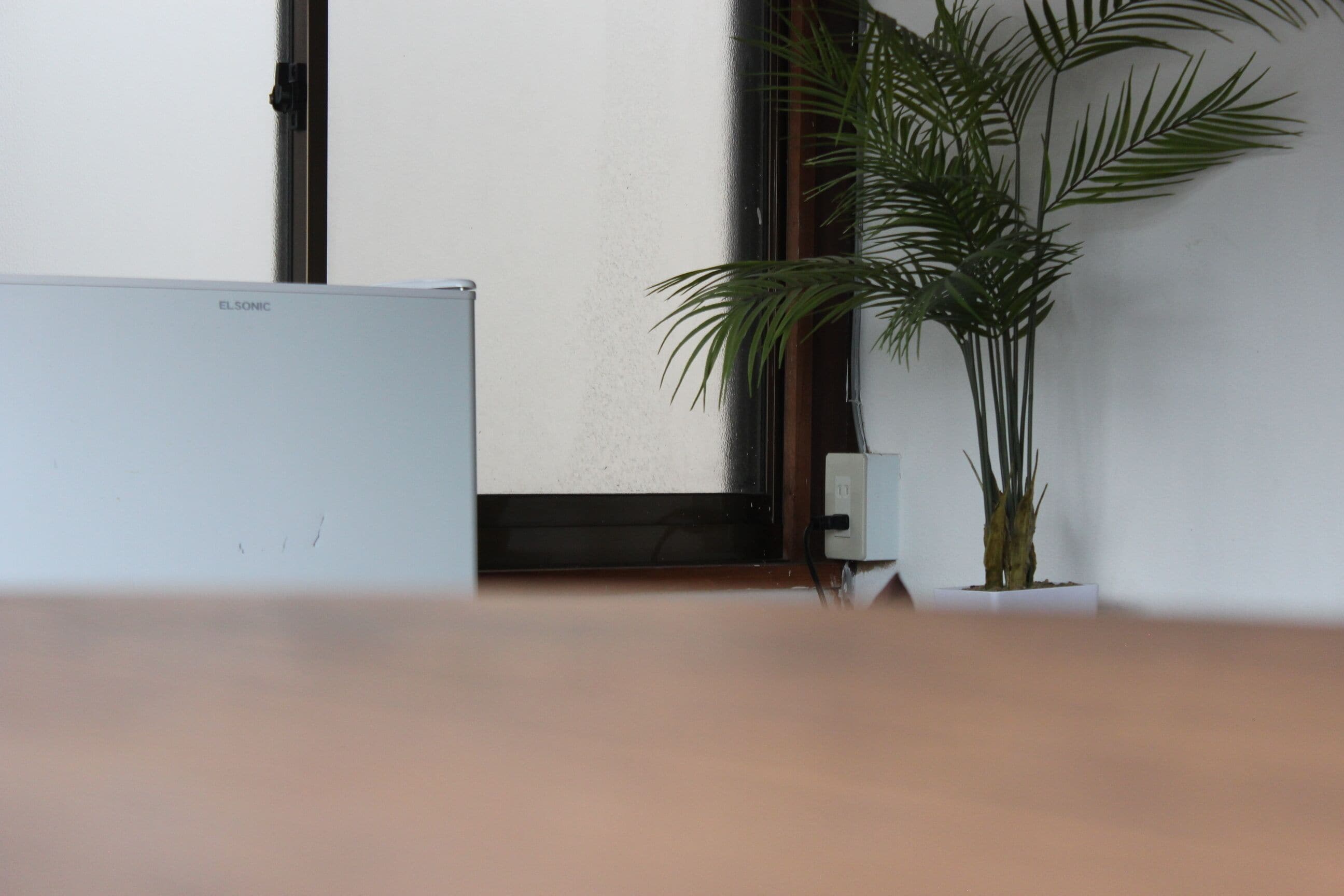 Une pièce avec un mur blanc, un plancher en bois et une plante en pot.