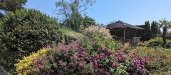 Le Petit Villeneuve, Gîte 15 p Proche Zoo de Beauval et Châteaux de la Loire