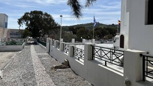 A cobblestone pathway leading to a white building with black railings, a flagpole with a flag, and a tree with hanging branches.