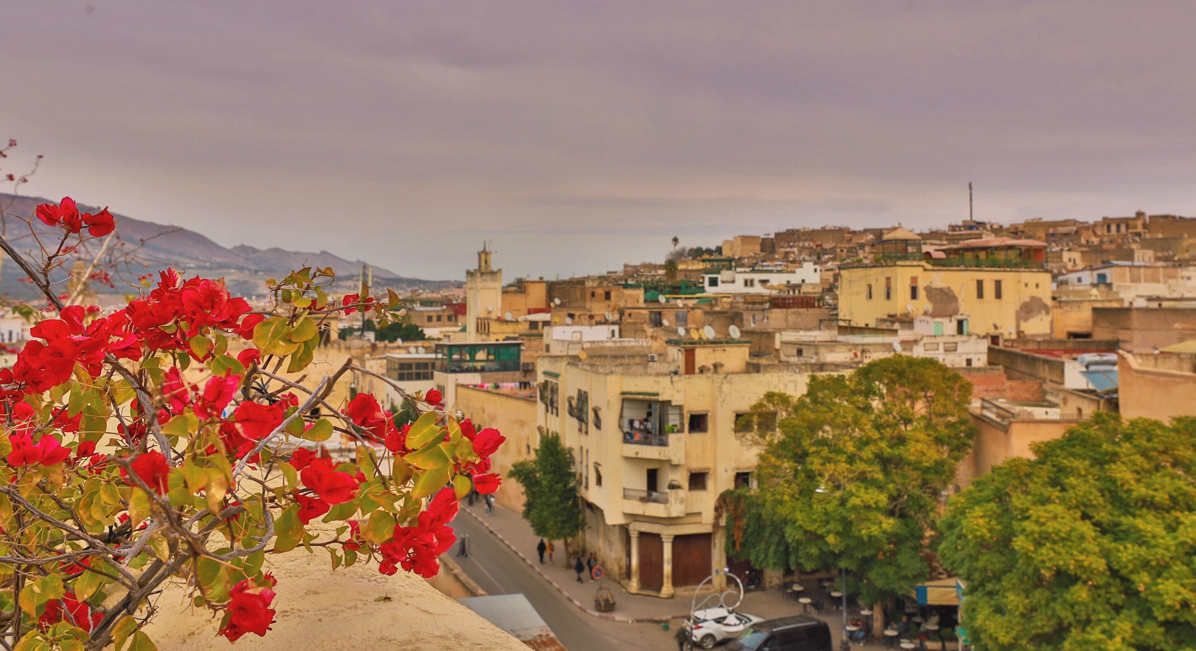 Photo - Riad Hadia Fes - Prestige Stay