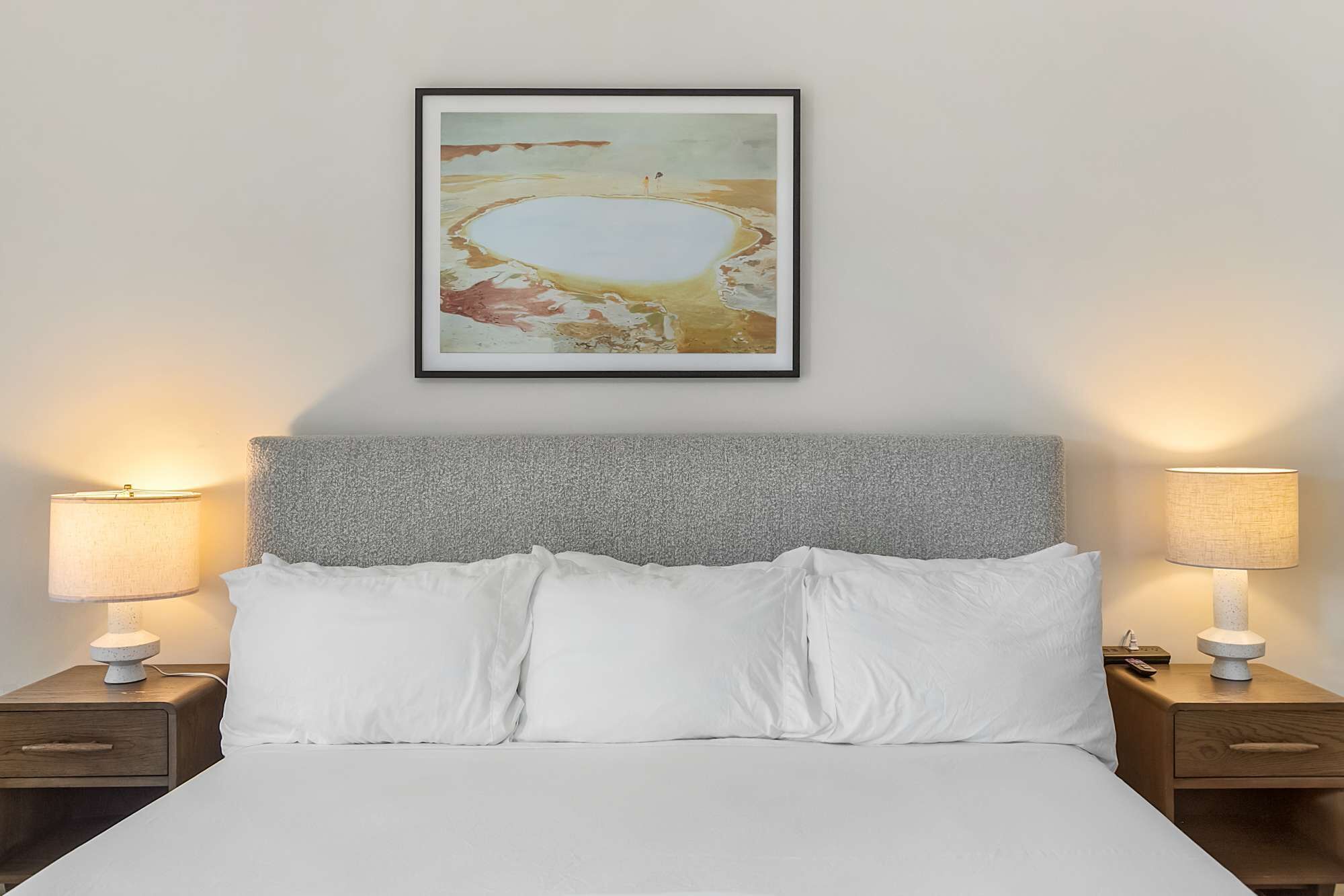 Woolly Bluestar Suite