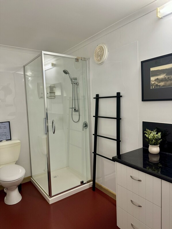 A bathroom with a glass-enclosed shower, a toilet, a black towel rack, and a framed picture on the wall.