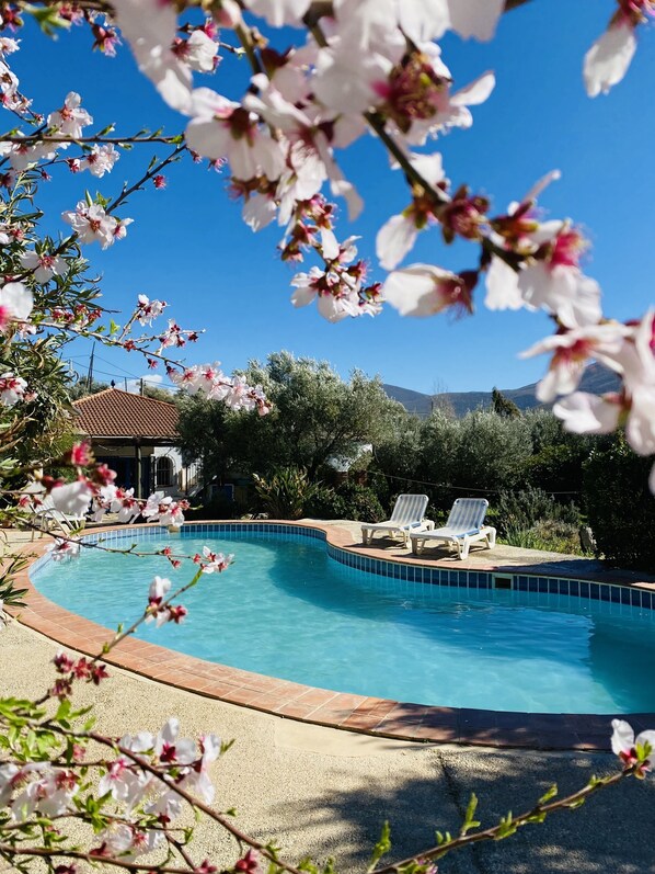 حمّام سباحة خارجي