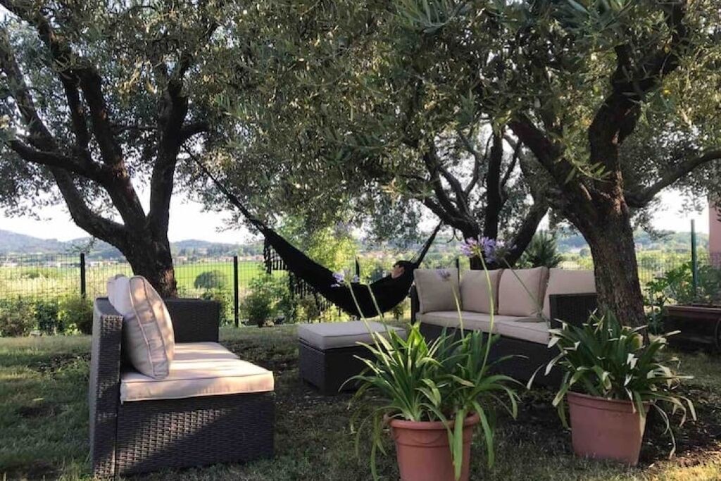 Parco della struttura