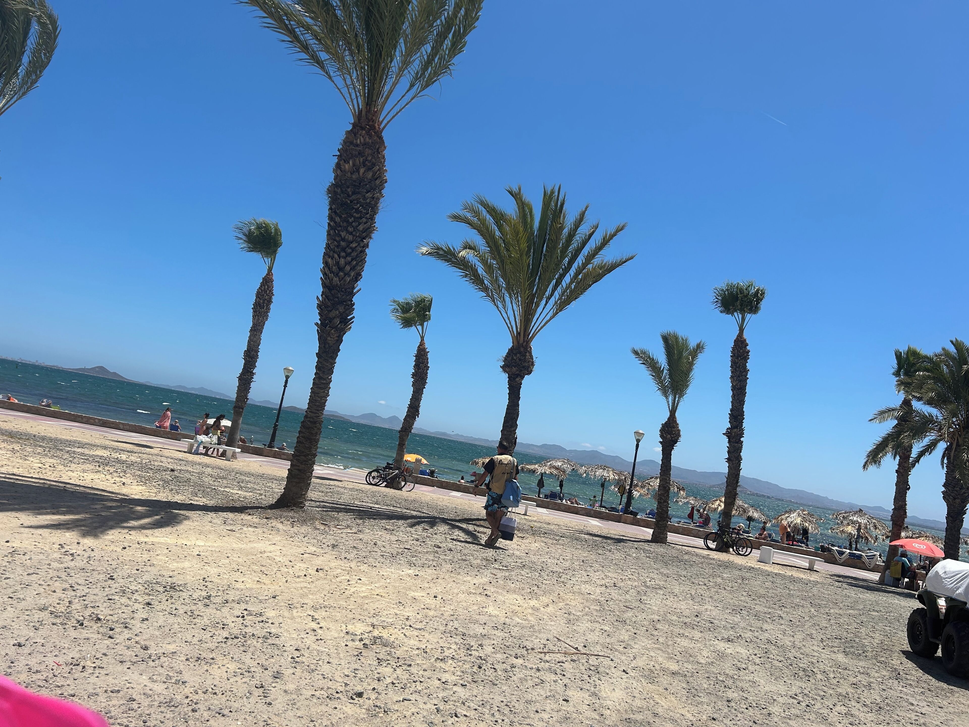 Chaises longues, serviettes de plage