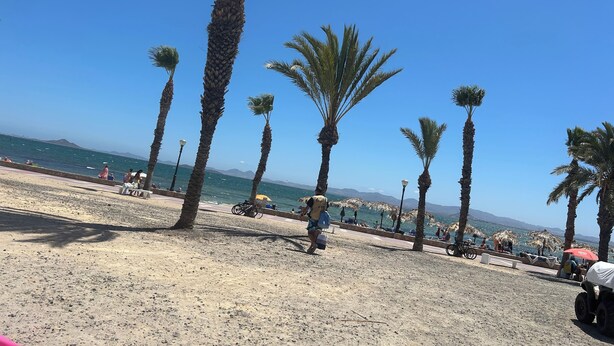 Una playa arenosa con palmeras y un cielo azul despejado.