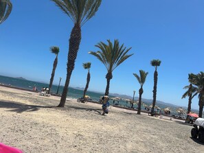 A sandy beach with palm trees and a clear blue sky.
