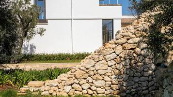 Een modern gebouw met een stenen muur en een tuin met verschillende planten.