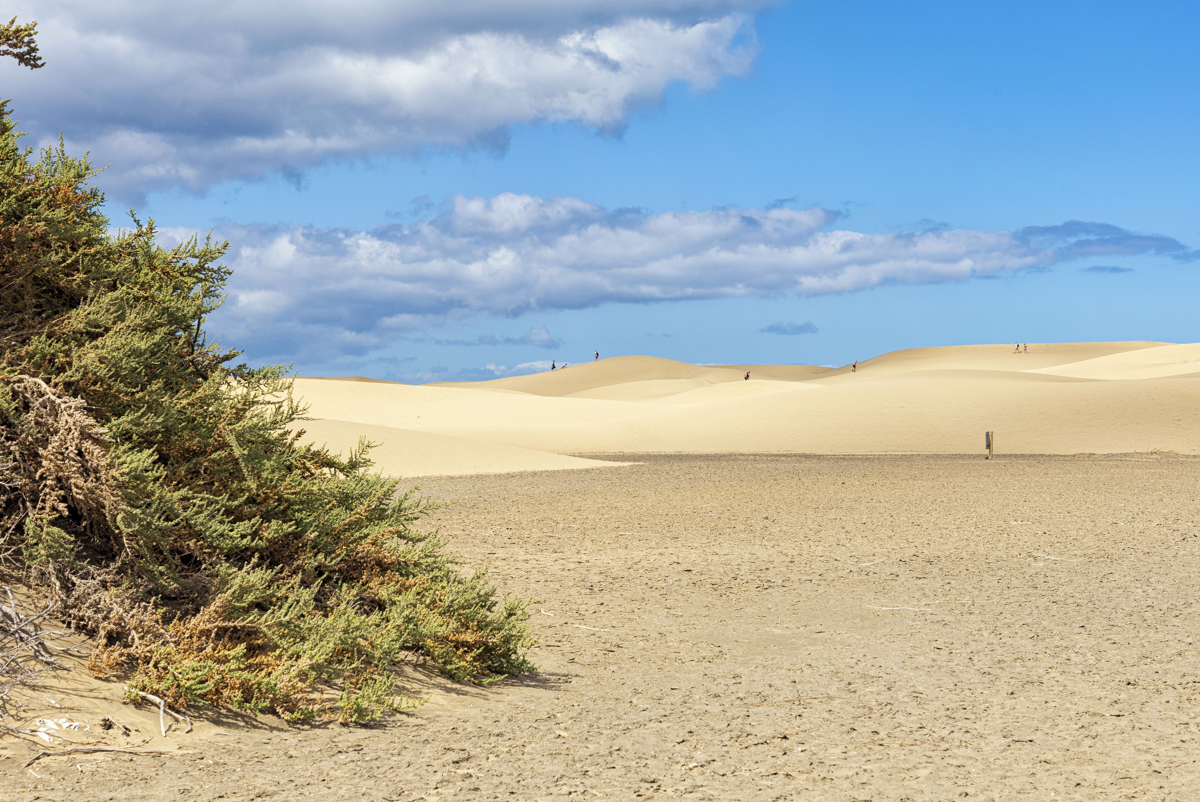 Foto - Smartr Maspalomas Corinto