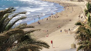 Una playa con palmeras, una torre de salvavidas y una orilla arenosa.