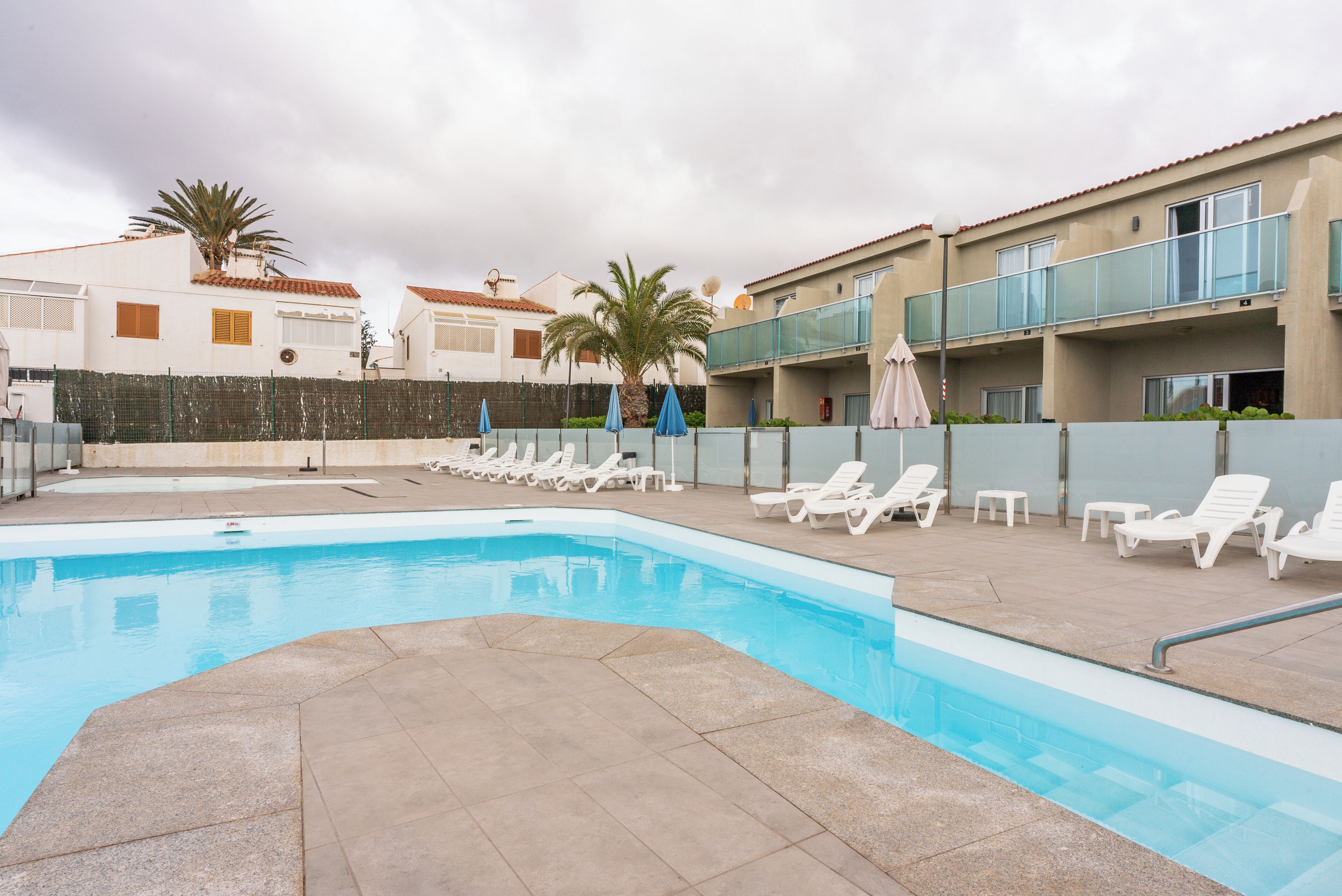 A swimming pool with lounge chairs and umbrellas, surrounded by a building with balconies and a palm tree.