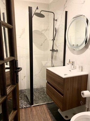 Shower, hair dryer, bidet, towels