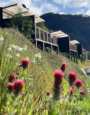 A modern building with a glass facade and wooden deck, surrounded by lush greenery and wildflowers. - Casa Raposa Lodges (Manteigas)