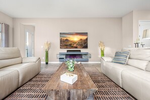 智能电视、壁炉、DVD 播放器