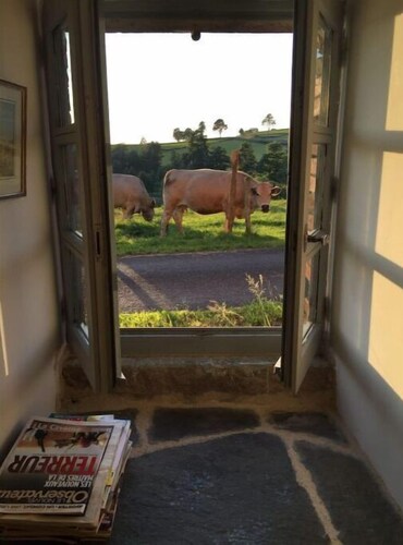Farmhouse with a view