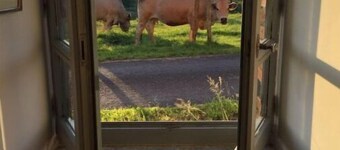 Farmhouse with a view