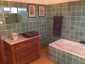 Hair dryer, towels, toilet paper