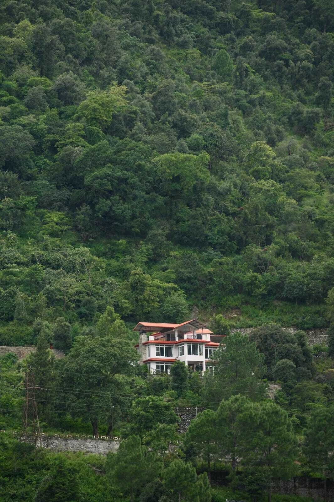 Una casa de dos pisos con techo rojo, rodeada por un bosque verde y denso.
