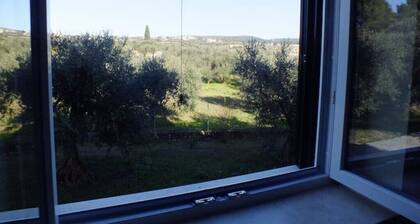 The Residences at Ofra "Alba"