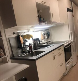 Fridge, oven, stovetop, coffee/tea maker