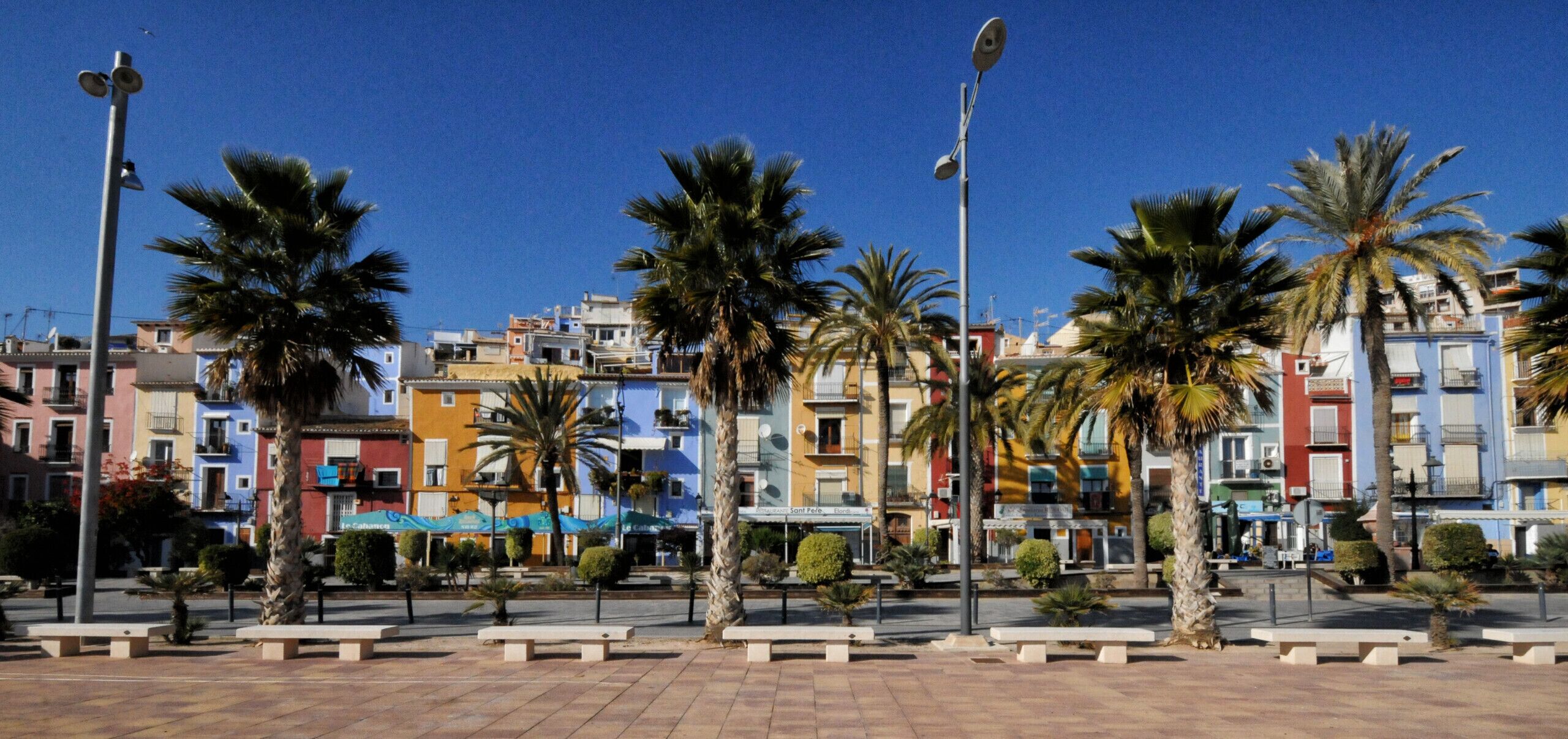 A promenade with palm trees, benches, and colorful buildings.