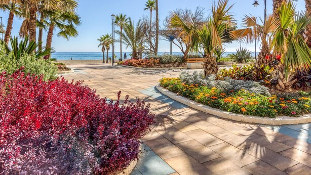 Un sentier pavé, bordé de palmiers et de parterres de fleurs aux couleurs vives, mène à la plage.