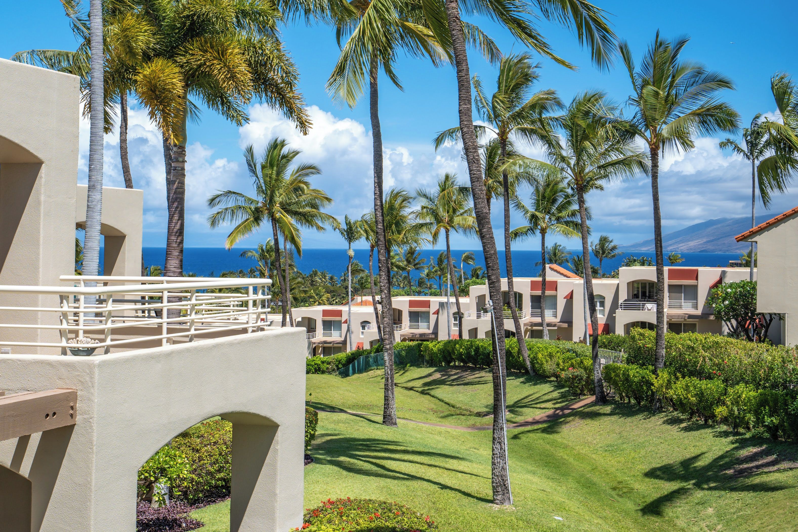 A resort with multiple-story buildings, palm trees, and a view of the ocean.
