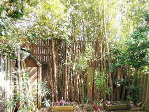 Property grounds - Duplex with Pool in Le Canon, 200m from the Bay (Lège-Cap-Ferret)