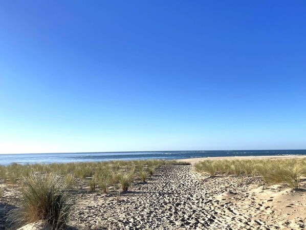 Beach - Duplex with Pool in Le Canon, 200m from the Bay (Lège-Cap-Ferret)