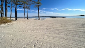 A sandy beach with picnic tables and a row of trees.