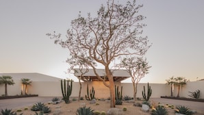 Exterior - Park Hyatt Cabo Del Sol (Cabo San Lucas)
