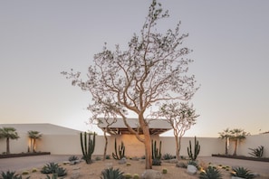 Exterior - Park Hyatt Cabo Del Sol (Cabo San Lucas)