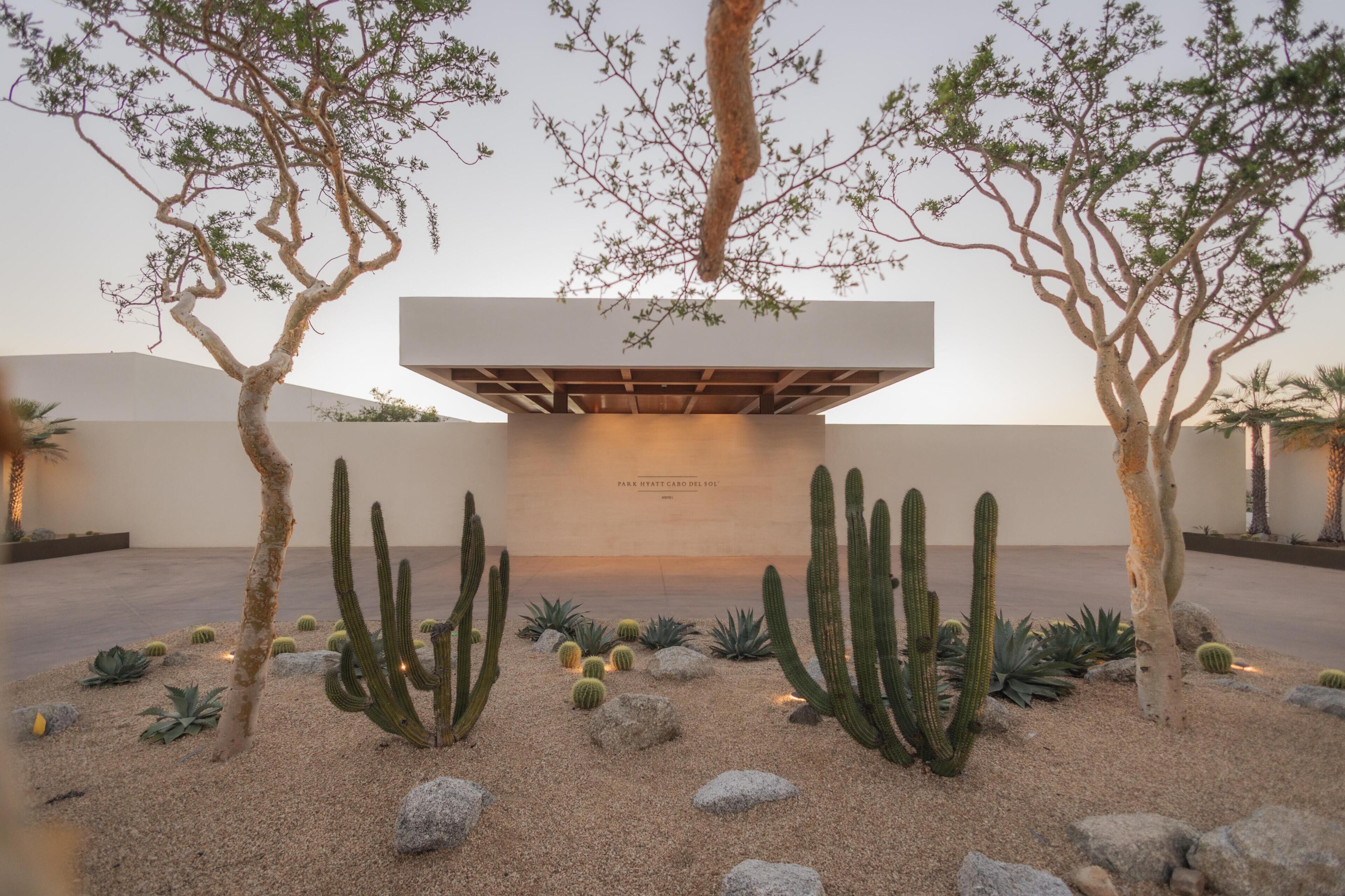 A desert garden with cacti and trees, a modern building with a flat roof, and a clear sky.