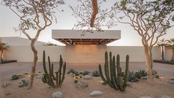 Un jardín desértico con cactus y árboles, un edificio moderno con techo plano y un cielo despejado.